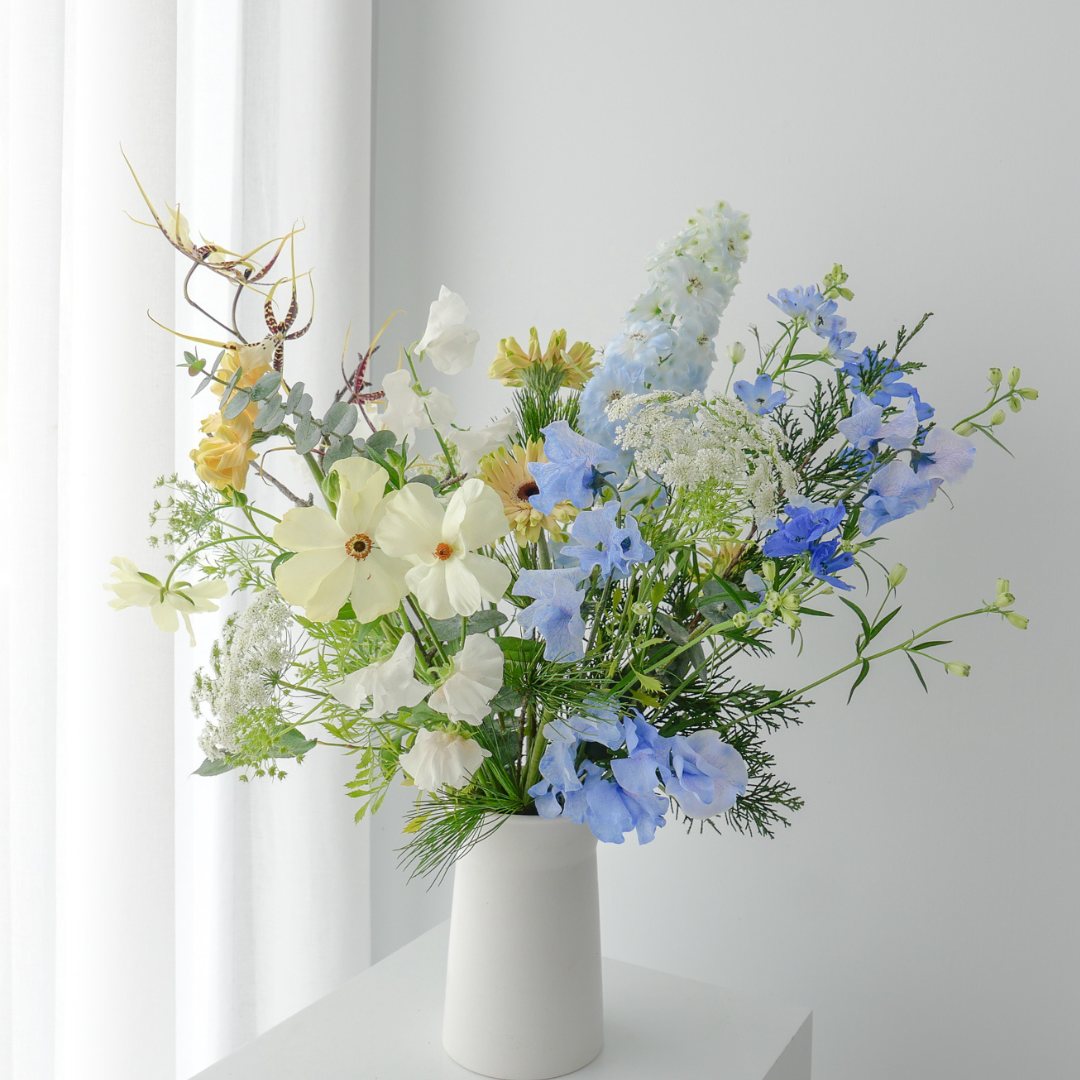 【Flower】盆花花禮