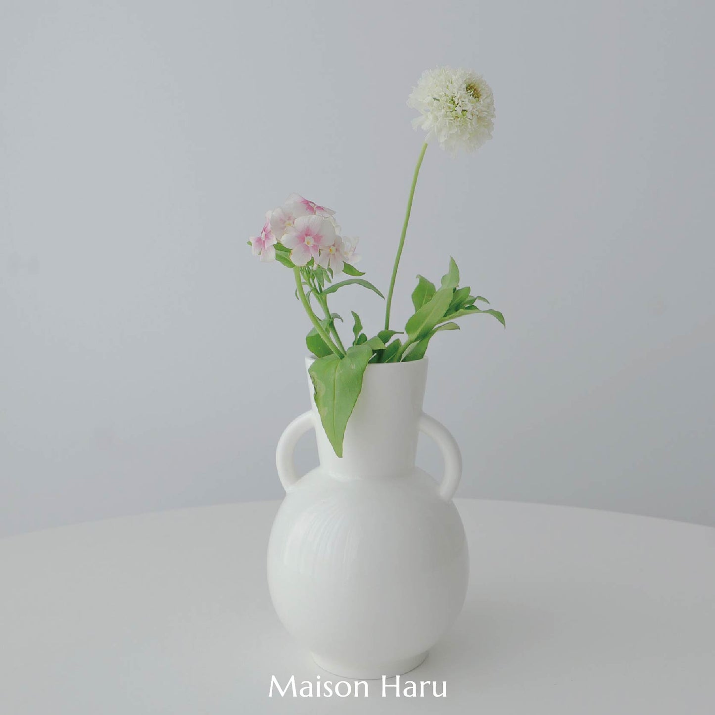 【Vase】雙耳小胖瓶(預購)