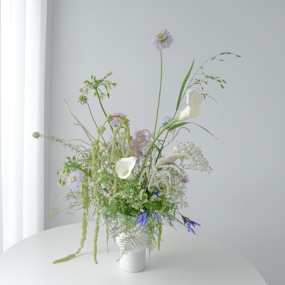 【Flower】盆花花禮